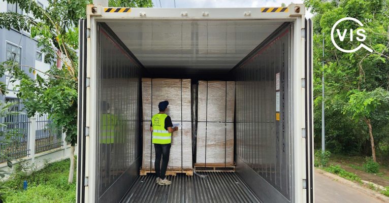 vis-global-inspector-unloading-pallets-from-container.jpg