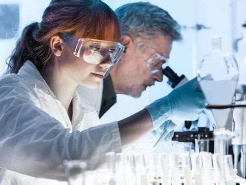 Sample testing services at present?