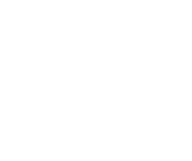 VIS